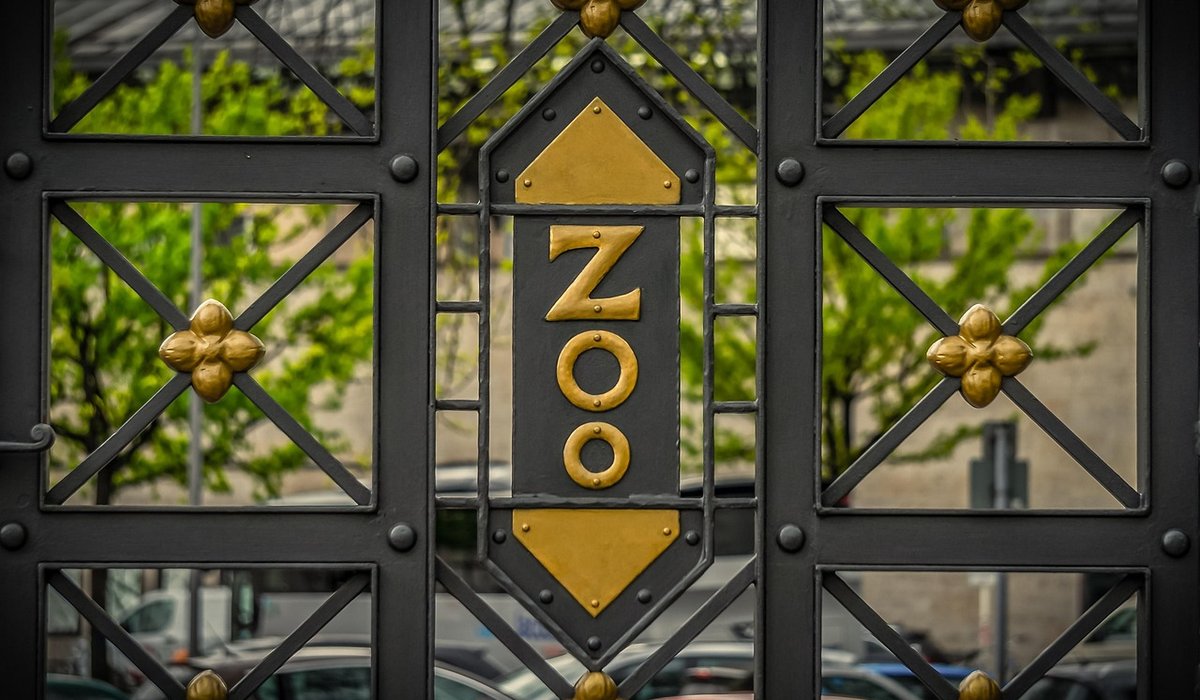 Comparing Timber, Steel and Aluminium Gates