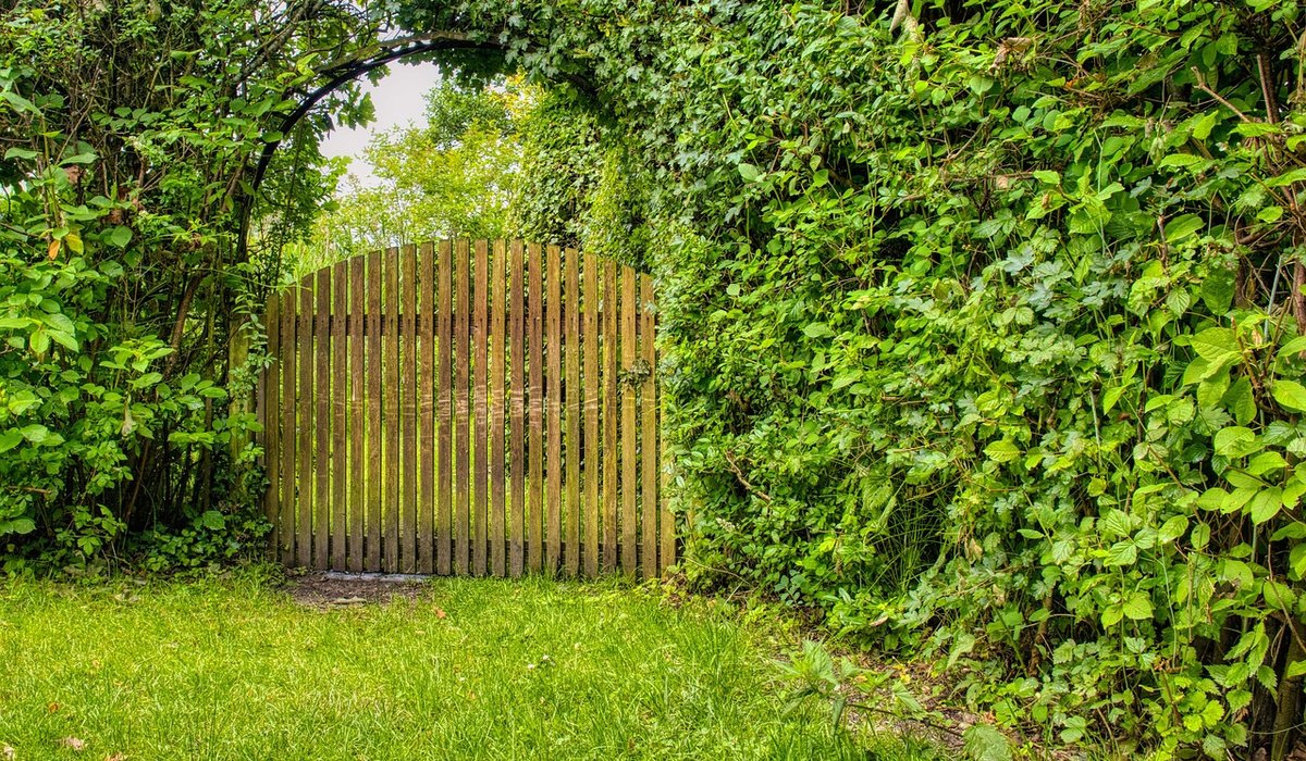 How to Choose the Right Garden Gate for Your Home