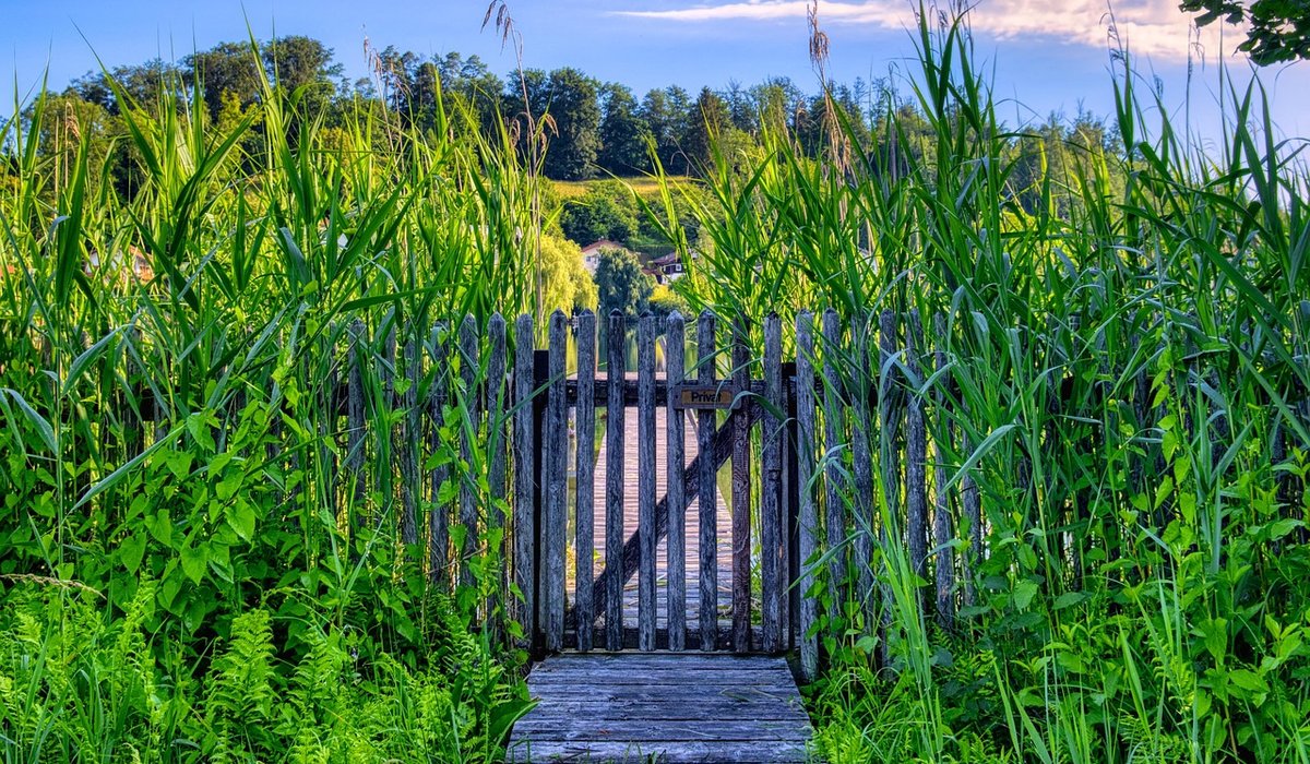 Repairing a Rusty Metal Gate at Home